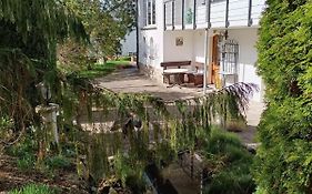 Ferienwohnung Waldblick