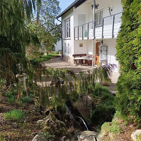 Ferienwohnung Waldblick Bad Duerrheim Exterior photo